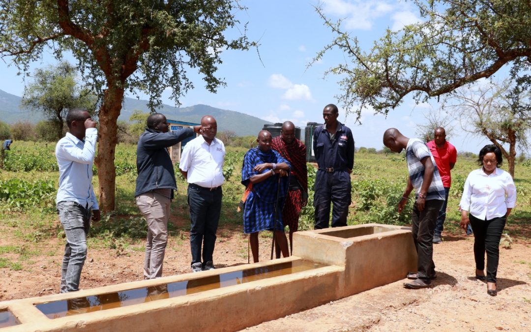 Establishment of a modern community spray race